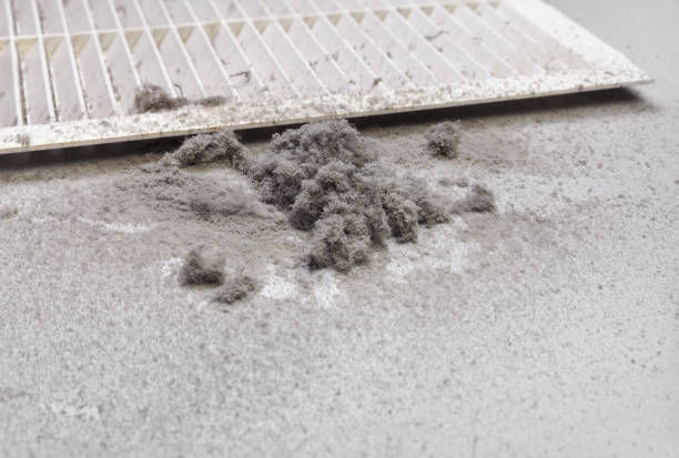 Best Air Duct Cleaning Company Near Me  in Graysville, TN