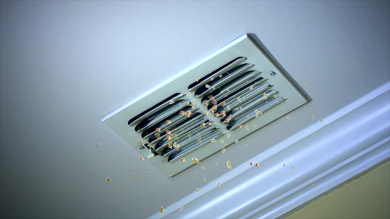 Best Commercial HVAC Duct Cleaning  in Graysville, TN