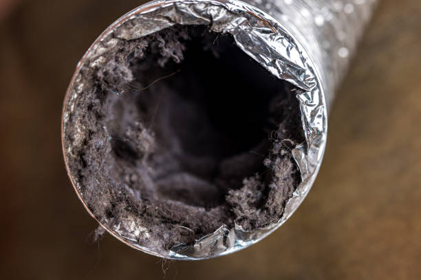 Best HVAC Duct Inspection Services  in Graysville, TN